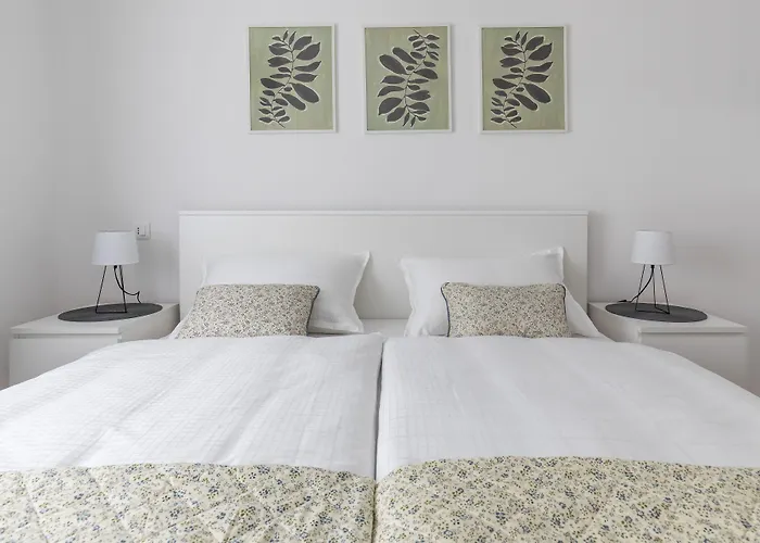 Cool Apartamento
