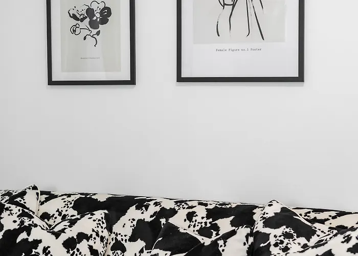 Cool Apartamento